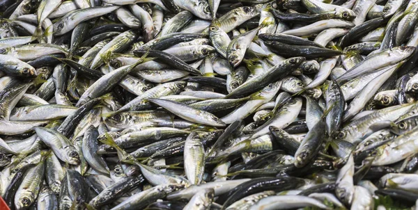 Marché aux poissons, front de mer de Galata, Istanbul — Photo