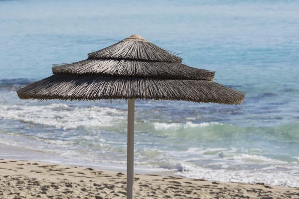 Detalle de sombrillas tejidas sobre filas en la playa en Chipre . —  Fotos de Stock