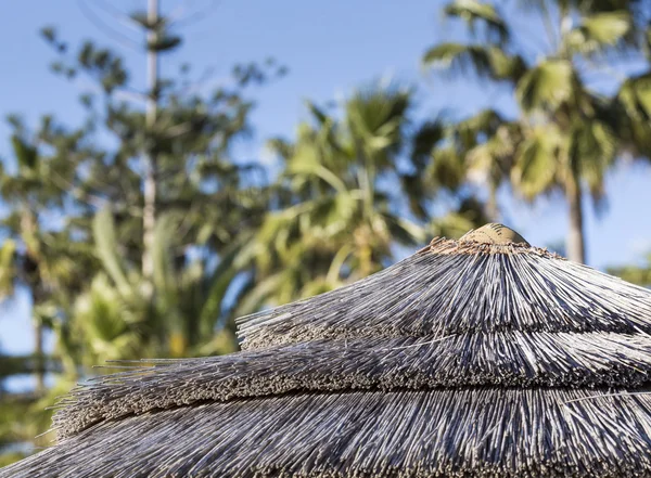 Detail van geweven paraplu's boven rijen op strand in Cyprus. — Stockfoto