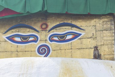 Stupa in Swayambhunath Maymun Tapınağı Katmandu, Nepal.