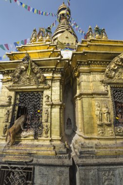 Stupa in Swayambhunath Maymun Tapınağı Katmandu, Nepal.