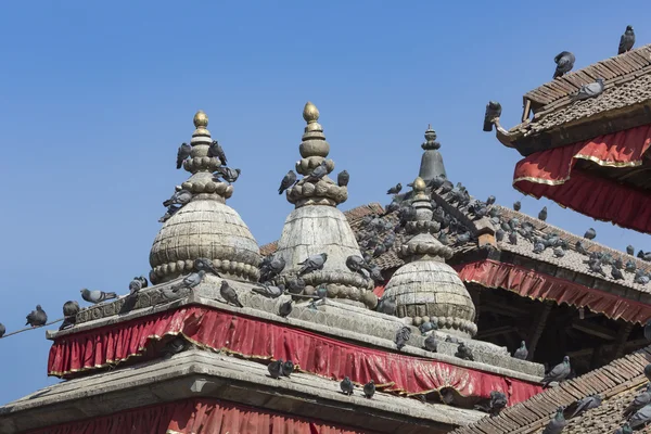 Toits tuiles avec de nombreux oiseaux sur la place Durbar à Khatmandu, Ne — Photo