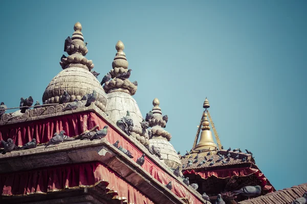 Ziegeldächer mit vielen Vögeln auf dem Durbar-Platz in Khatmandu, ne — Stockfoto