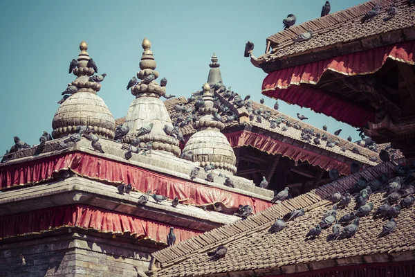 Tetti in piastrelle con molti uccelli sulla piazza Durbar a Khatmandu, Ne — Foto Stock