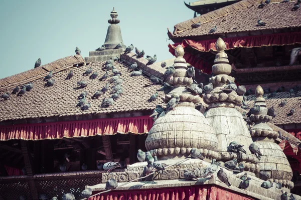 Ziegeldächer mit vielen Vögeln auf dem Durbar-Platz in Khatmandu, ne — Stockfoto