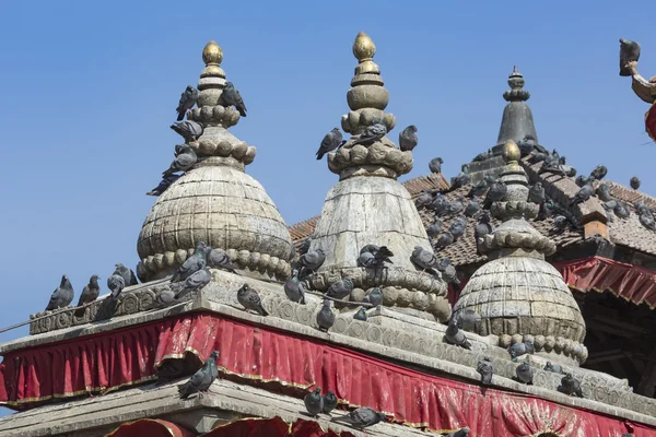 Tegel daken met veel vogels op de Durbar square in Khatmandu, Ne — Stockfoto