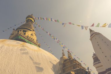 Stupa in Swayambhunath Maymun Tapınağı Katmandu, Nepal.