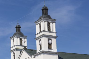 Kilise st. Alexander suwalki içinde. Polonya