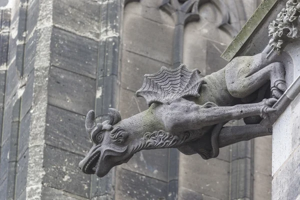 Katedral Cologne. Detail dari fasad — Stok Foto