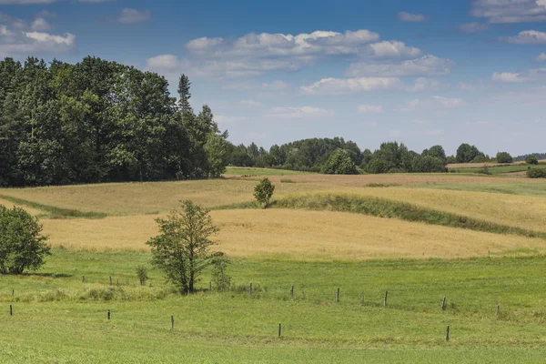 Parque del Paisaje Suwalki, Polonia . — Foto de Stock