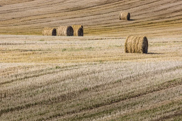 Straw bales on farmland — Stock Photo, Image