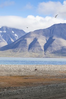Çorak dağ silsilesi w altında mavi Körfezi'nin güzel doğal görünümü