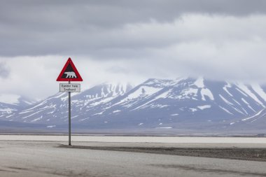uyarı işareti kutup ayıları, spitsbergen, svalbard, Norveç