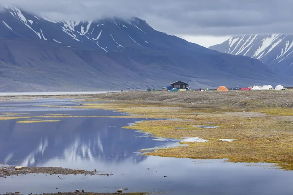 Arktische Tundra im Sommer, Spitzbergen, Norwegen — Stockfoto