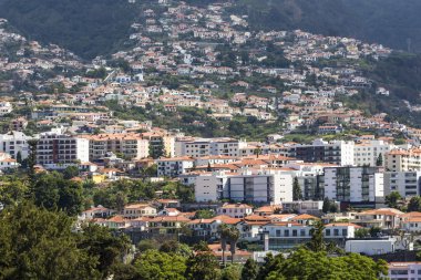 Funchal, madeira Adası, Portekiz