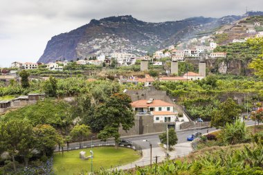 Camara de Lobos Madeira orta-güney kıyısında bir şehirdir,
