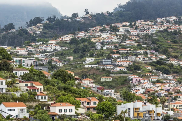 Funchal, Madeira-sziget, Portugália — Stock Fotó