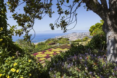 Şehirde Funchal, Madeira Island ünlü tropikal botanik bahçeleri