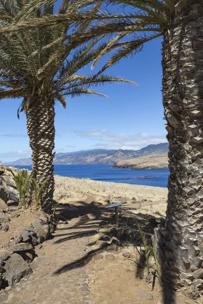 Ponta de sao lourenco, der östliche Teil der Insel Madeira, portu — Stockfoto