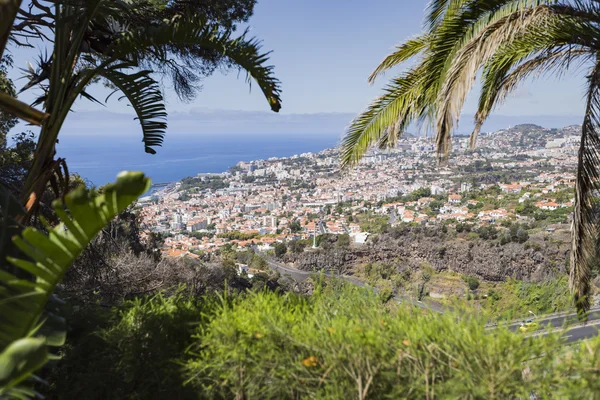 Casas de Madeira de Funchal - capital de Madeira, Portugal — Foto de Stock