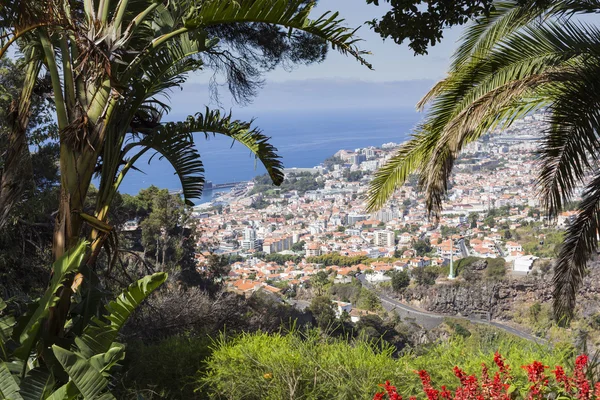 Funchal, madeira Adası, Portekiz başkenti havadan görünümü — Stok fotoğraf