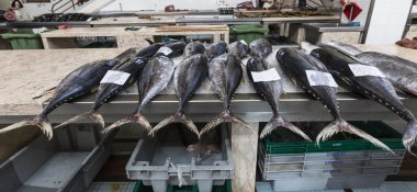 Funchal, Madeira balık pazarında