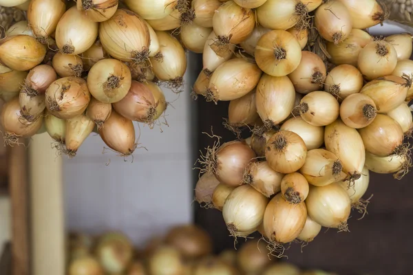 Viele Zwiebeln auf der Veranda — Stockfoto