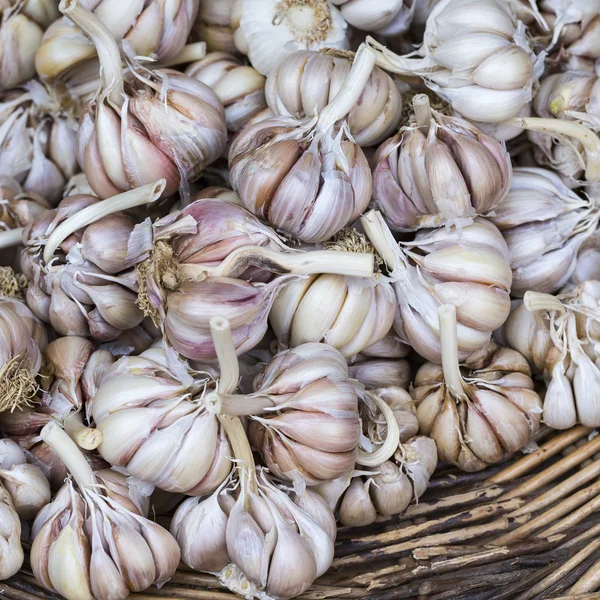 Ail frais dans un marché — Photo