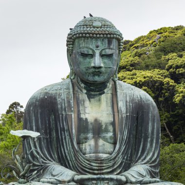 Kotokuin Tapınağı'gerekçesiyle büyük Buda (Daibutsu)