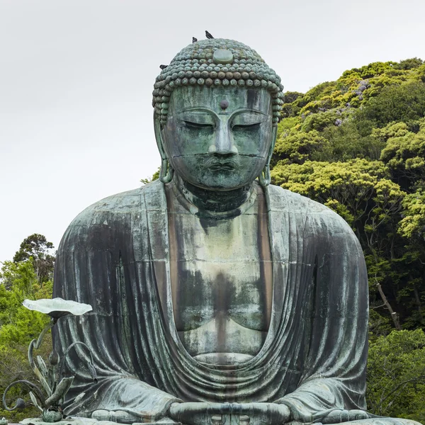 O Grande Buda (Daibutsu) no terreno do Templo de Kotokuin em — Fotografia de Stock