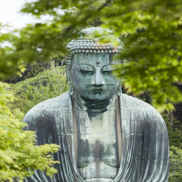 Le Grand Bouddha (Daibutsu) sur le terrain du temple Kotokuin à — Photo