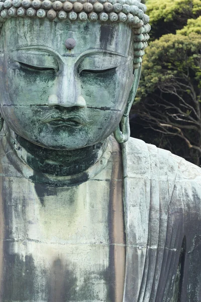 Velký Buddha (Daibucu) z důvodu Kotokuin chrám v — Stock fotografie