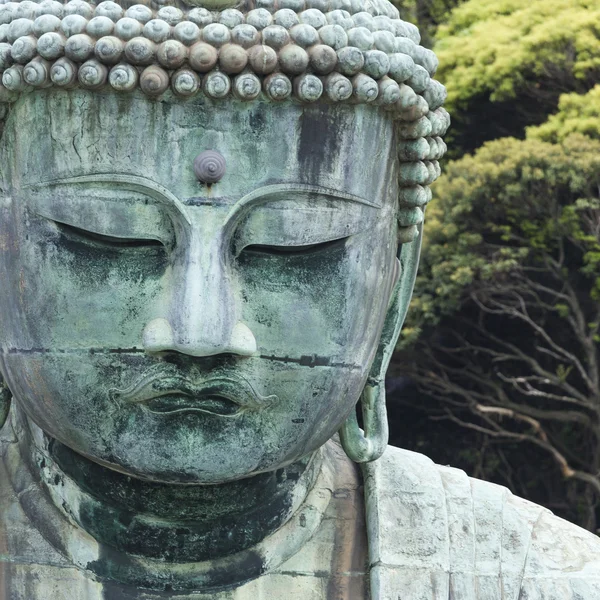 A nagy Buddha (Daibutsu) alapján Kotokuin templom — Stock Fotó