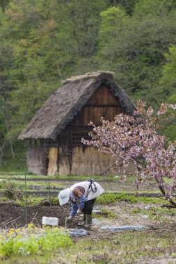 Geleneksel ve tarihsel Japon Köyü Ogimachi - Shirakawa