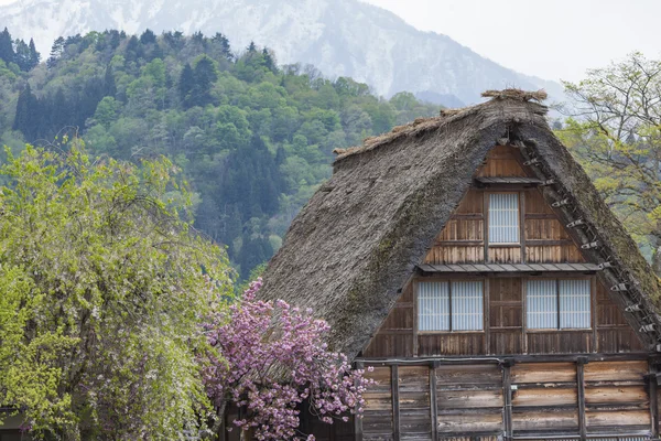 Aldeia japonesa tradicional e histórica Ogimachi - Shirakawa — Fotografia de Stock