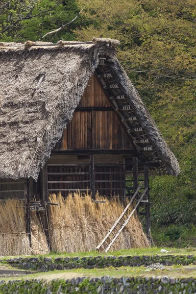 Traditional and Historical Japanese village Ogimachi - Shirakawa — Stock Photo, Image