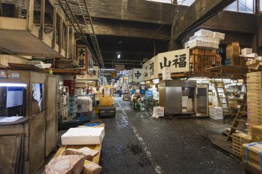 Tokyo - 11 Mayıs: Alışveriş ziyaret Tsukiji Balık pazarı 20 Mayıs 11,