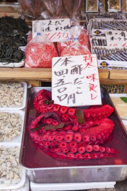Kızıl canlı ahtapot Tsukiji balık pazarında, Tokyo, Japonya