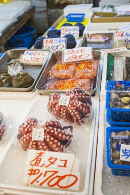 Kızıl canlı ahtapot Tsukiji balık pazarında, Tokyo, Japonya