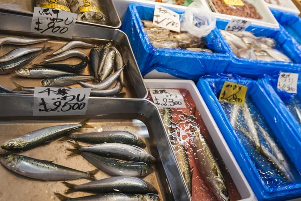Mercado de pescado de Tsukiji, Japón . — Foto de Stock