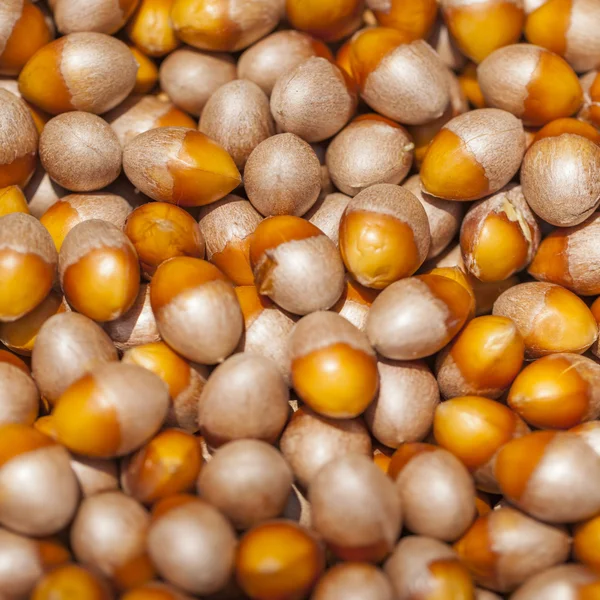 Loose hazelnuts on the market — Stock Photo, Image