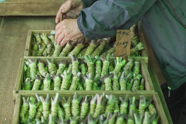 Raiz Wasabi para venda em um mercado japonês típico — Fotografia de Stock