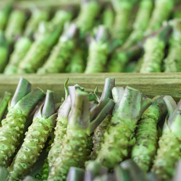 Wasabi wortel te koop in een typisch Japanse markt — Stockfoto