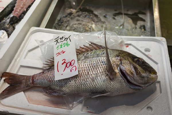 Mercado de peixe de Tsukiji, Japão . — Fotografia de Stock