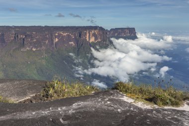 Roraima tepui Kukenan tepui üzerinde gelen sis - Venez göster