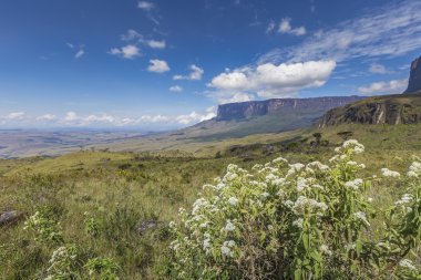 Bulutlar, Venezuela, Latin Amerika ile Tablemountain Roraima.