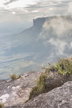 Roraima tepui Kukenan tepui üzerinde gelen sis - Venez göster