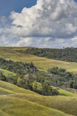 Güzel manzara karakteristik Gran Sabana - Venezue için