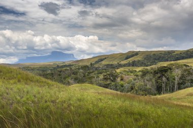 Bulutlar, Venezuela, Latin Amerika ile Tablemountain Roraima.