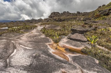 Plato Roraima tepui - Venezuela tuhaf antik kayalar, 
